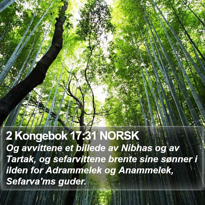 2 Kongebok 17:31 NORSK Bible Study