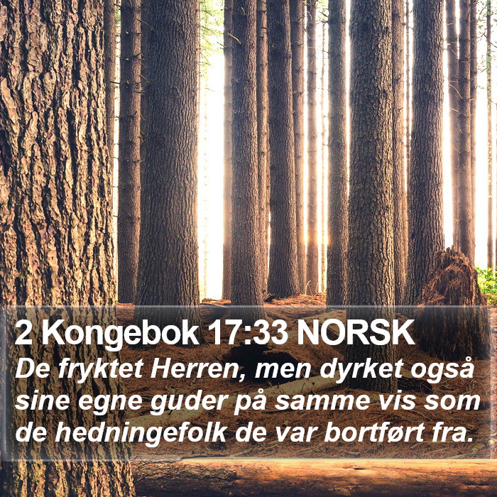 2 Kongebok 17:33 NORSK Bible Study