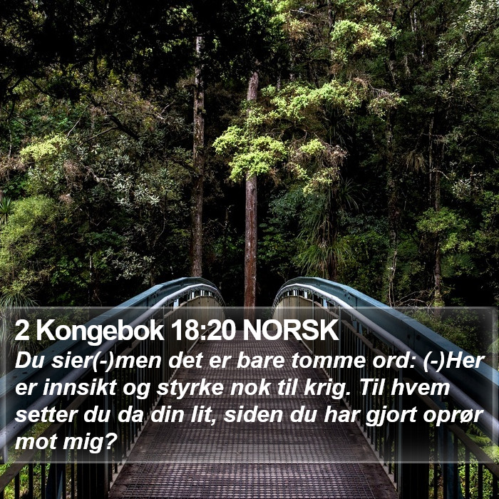 2 Kongebok 18:20 NORSK Bible Study