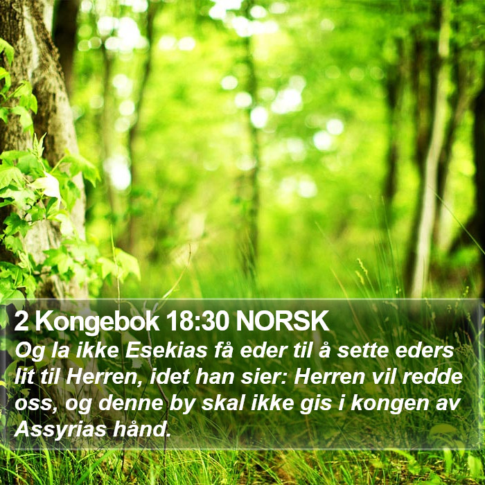 2 Kongebok 18:30 NORSK Bible Study