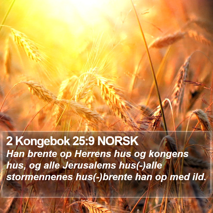 2 Kongebok 25:9 NORSK Bible Study