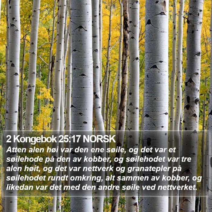 2 Kongebok 25:17 NORSK Bible Study