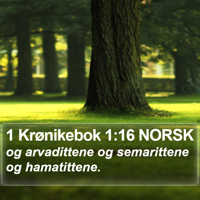 1 Krønikebok 1:16 NORSK Bible Study