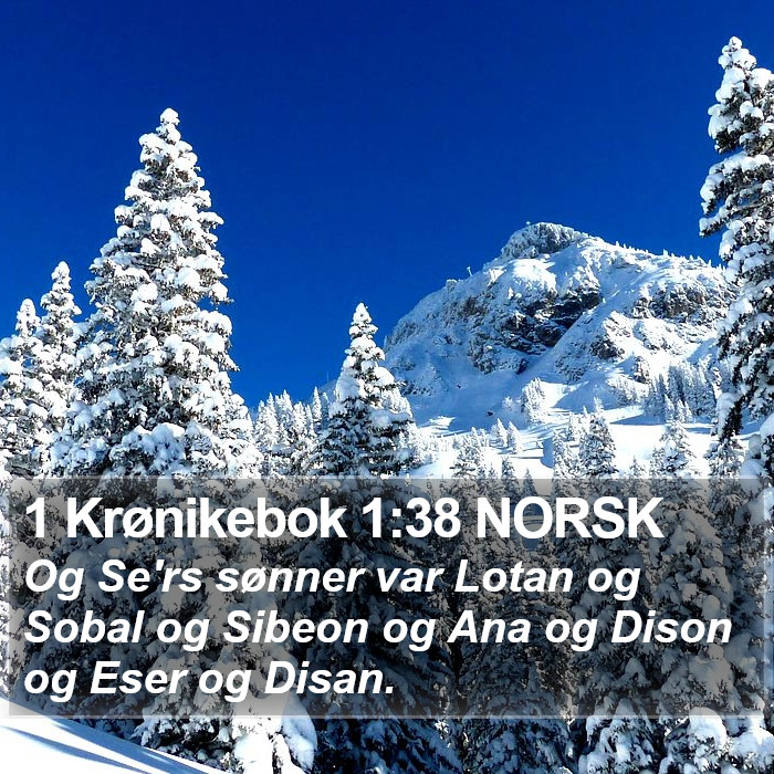 1 Krønikebok 1:38 NORSK Bible Study