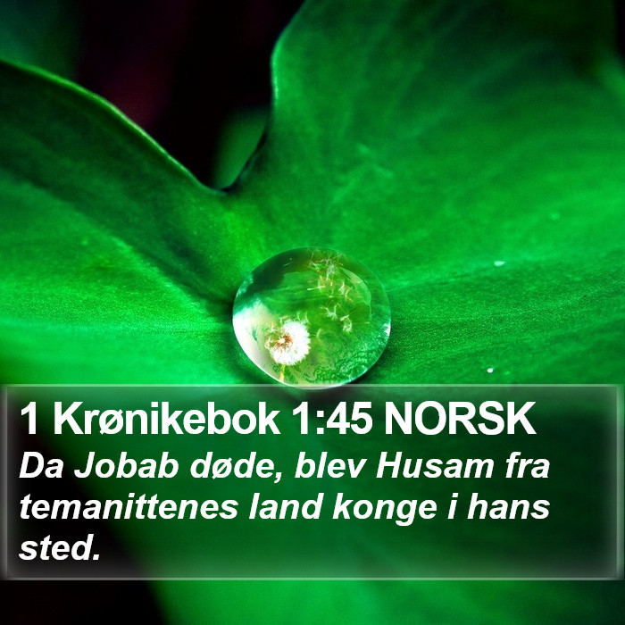 1 Krønikebok 1:45 NORSK Bible Study