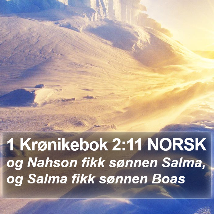 1 Krønikebok 2:11 NORSK Bible Study