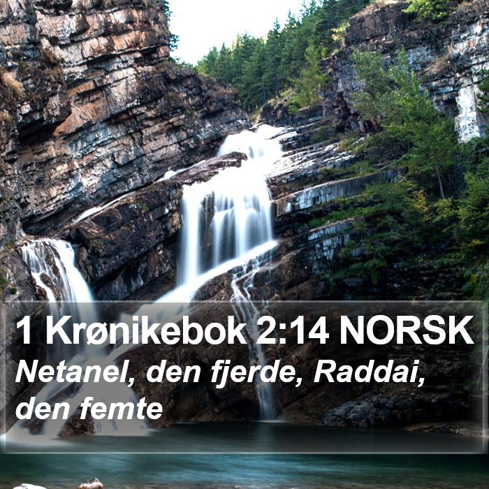 1 Krønikebok 2:14 NORSK Bible Study