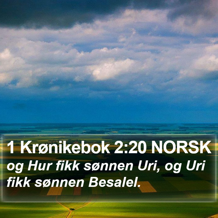 1 Krønikebok 2:20 NORSK Bible Study