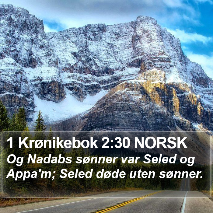 1 Krønikebok 2:30 NORSK Bible Study