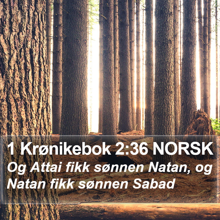 1 Krønikebok 2:36 NORSK Bible Study