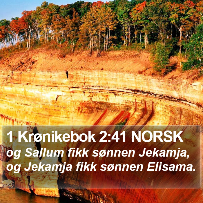 1 Krønikebok 2:41 NORSK Bible Study