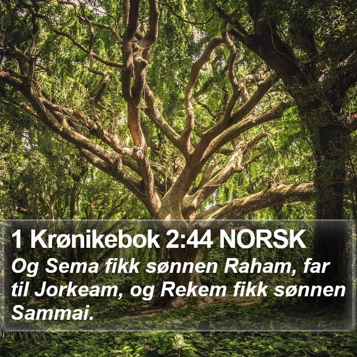 1 Krønikebok 2:44 NORSK Bible Study