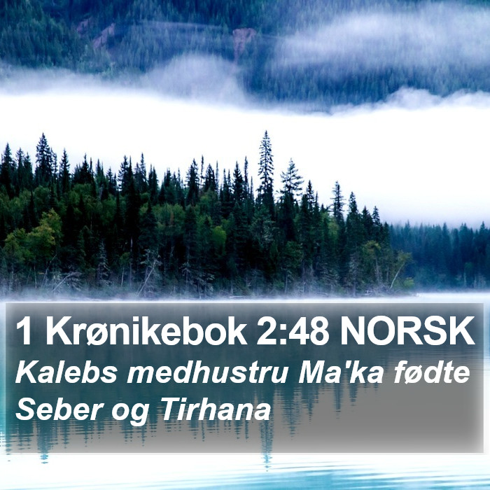 1 Krønikebok 2:48 NORSK Bible Study