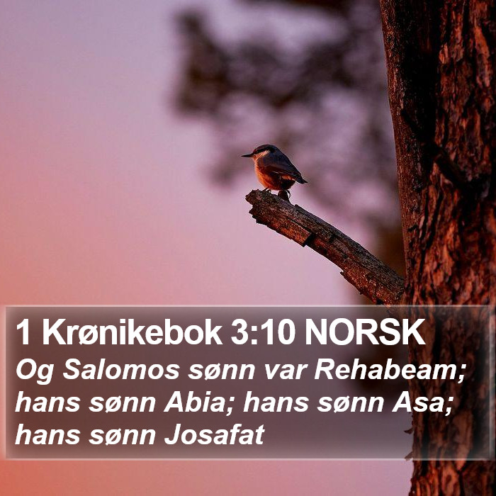 1 Krønikebok 3:10 NORSK Bible Study