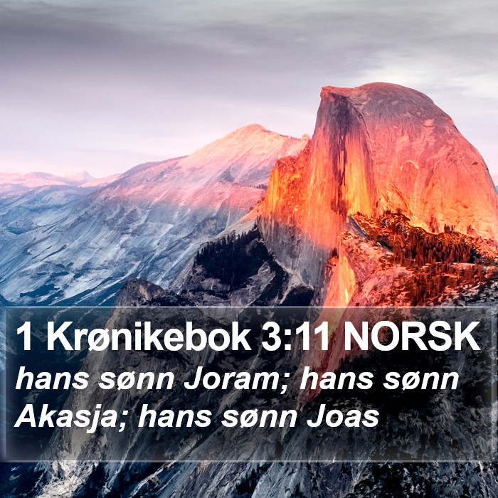 1 Krønikebok 3:11 NORSK Bible Study