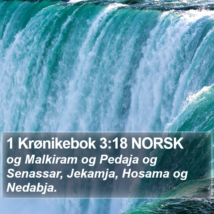 1 Krønikebok 3:18 NORSK Bible Study
