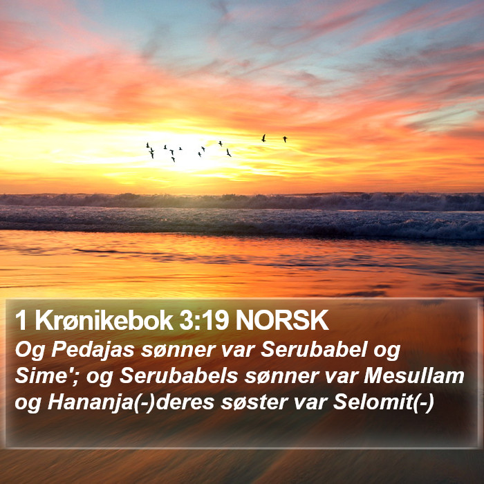 1 Krønikebok 3:19 NORSK Bible Study