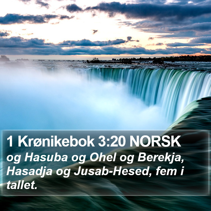 1 Krønikebok 3:20 NORSK Bible Study