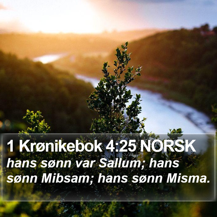 1 Krønikebok 4:25 NORSK Bible Study