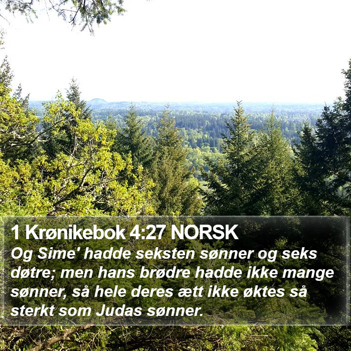 1 Krønikebok 4:27 NORSK Bible Study
