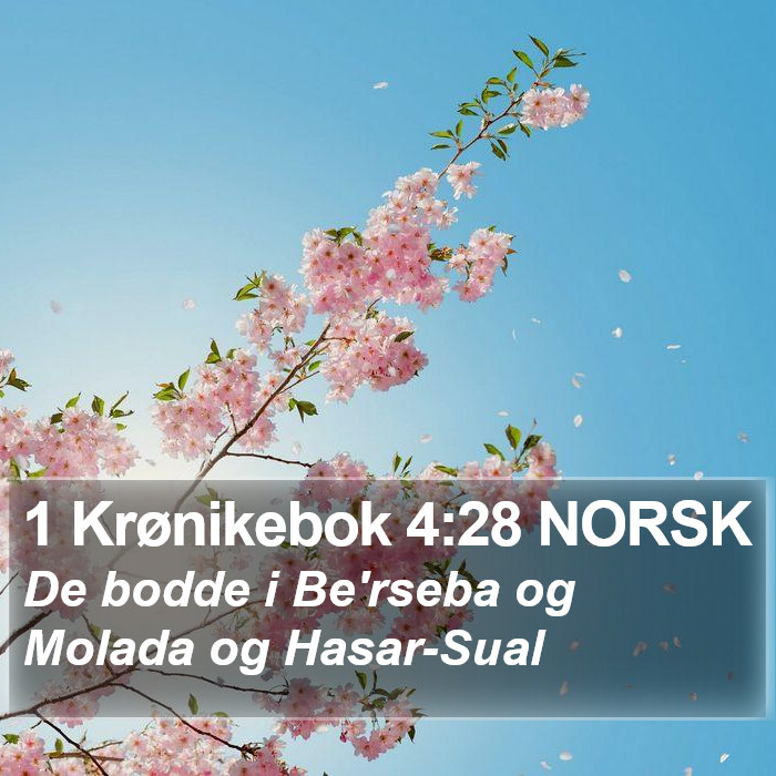 1 Krønikebok 4:28 NORSK Bible Study