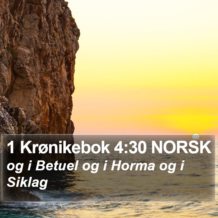 1 Krønikebok 4:30 NORSK Bible Study