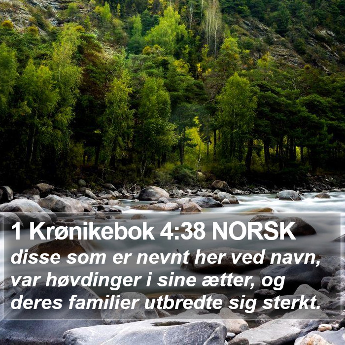 1 Krønikebok 4:38 NORSK Bible Study