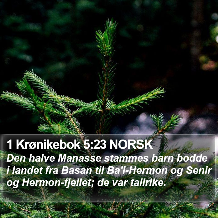 1 Krønikebok 5:23 NORSK Bible Study