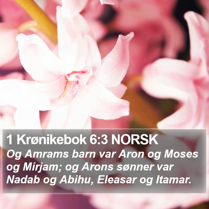 1 Krønikebok 6:3 NORSK Bible Study