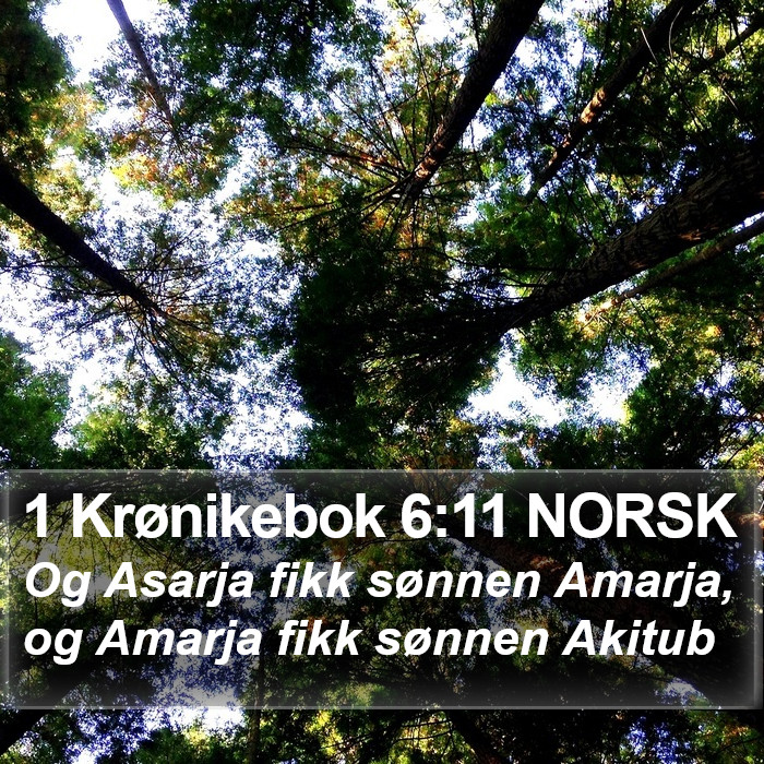 1 Krønikebok 6:11 NORSK Bible Study