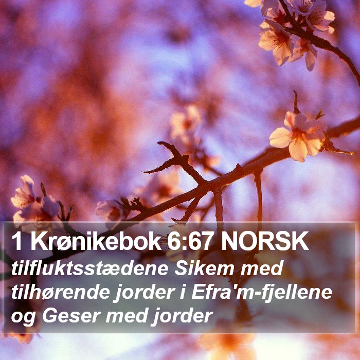 1 Krønikebok 6:67 NORSK Bible Study