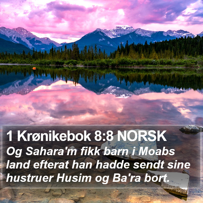 1 Krønikebok 8:8 NORSK Bible Study