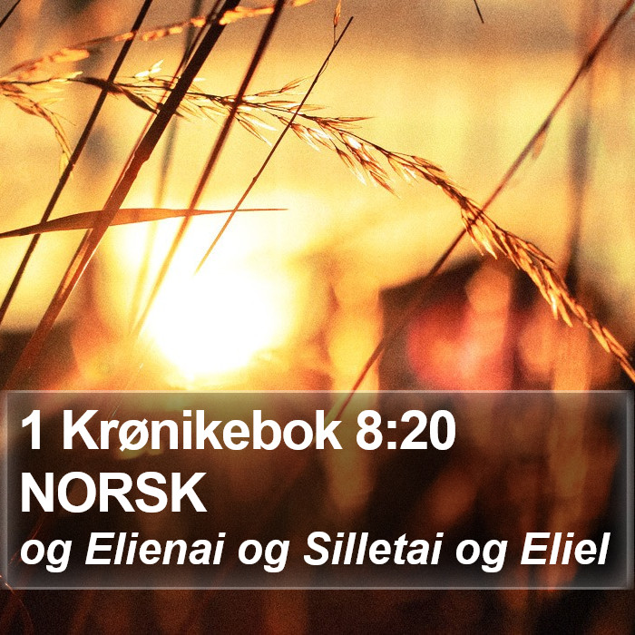 1 Krønikebok 8:20 NORSK Bible Study