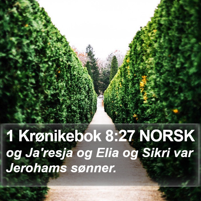 1 Krønikebok 8:27 NORSK Bible Study