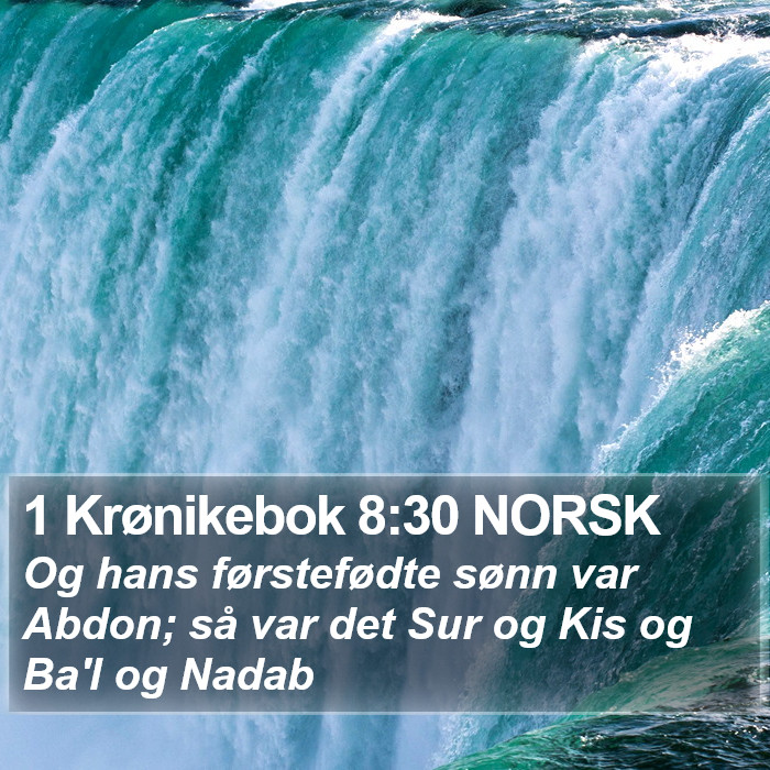 1 Krønikebok 8:30 NORSK Bible Study