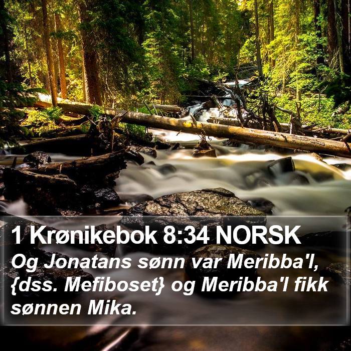 1 Krønikebok 8:34 NORSK Bible Study