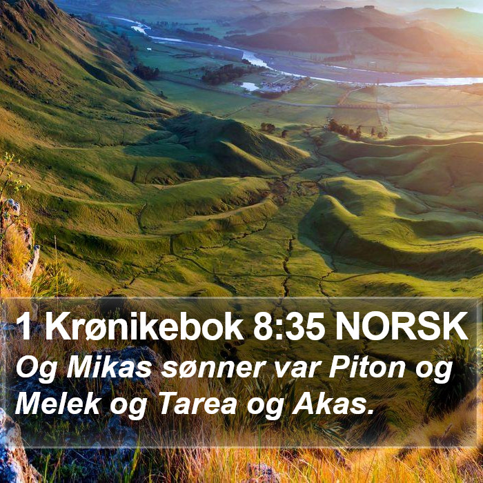 1 Krønikebok 8:35 NORSK Bible Study