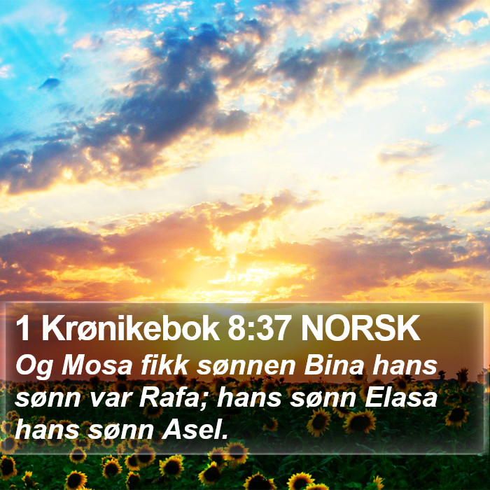 1 Krønikebok 8:37 NORSK Bible Study
