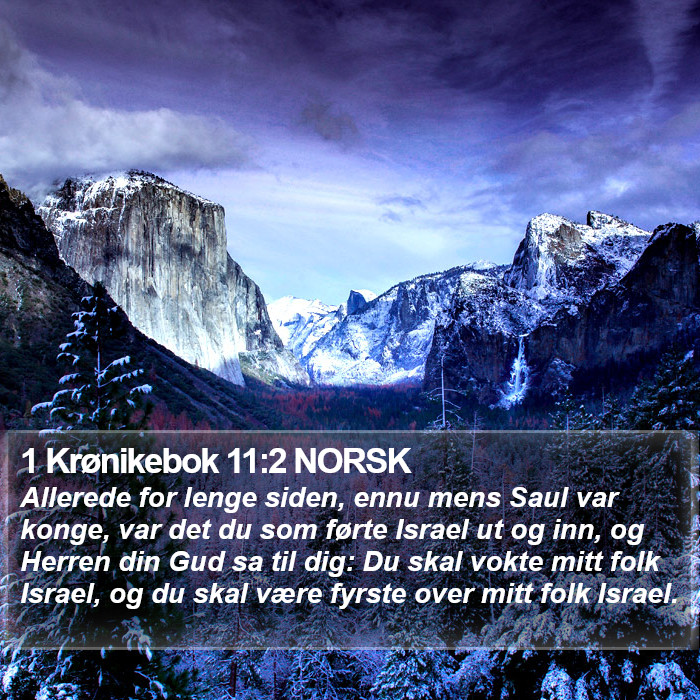 1 Krønikebok 11:2 NORSK Bible Study