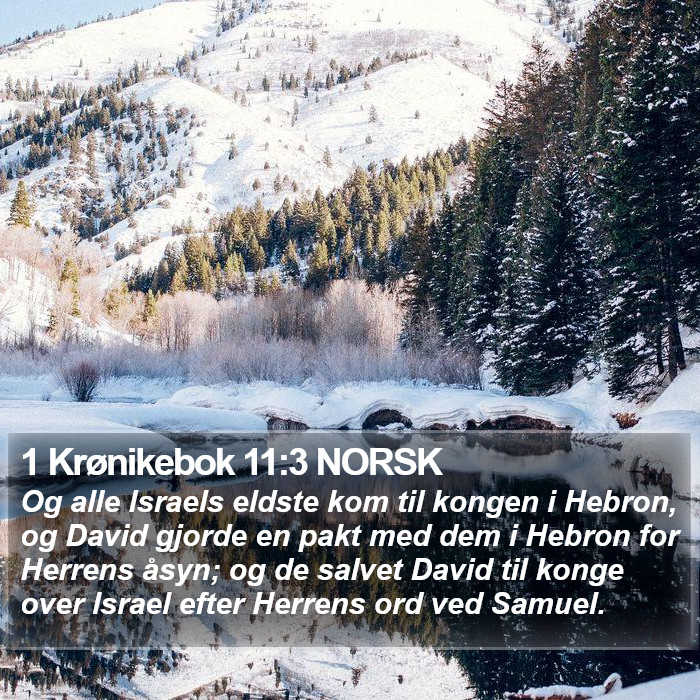 1 Krønikebok 11:3 NORSK Bible Study