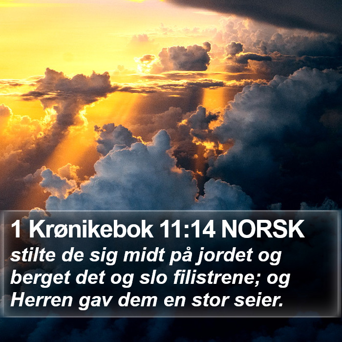 1 Krønikebok 11:14 NORSK Bible Study