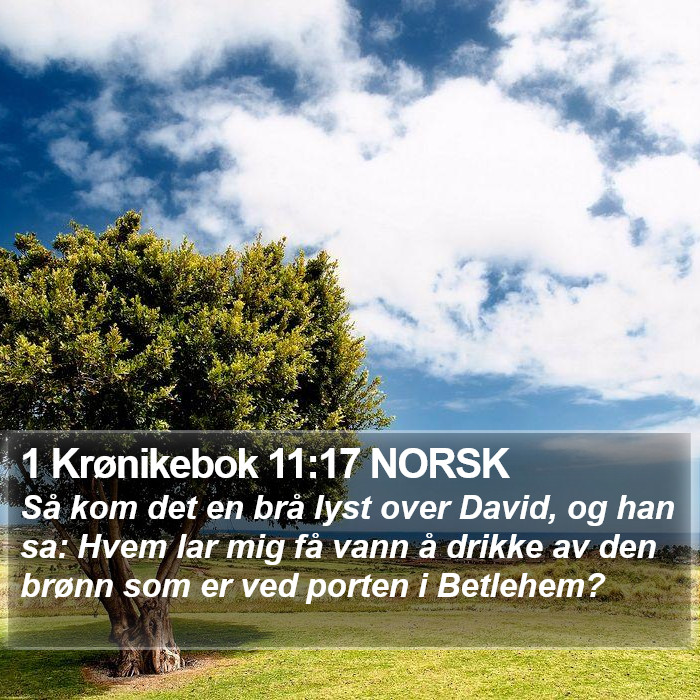 1 Krønikebok 11:17 NORSK Bible Study