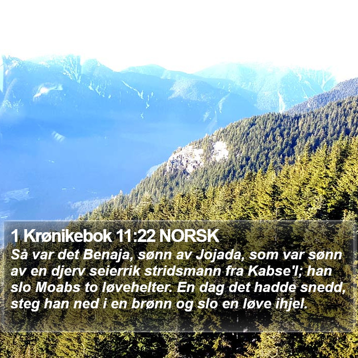 1 Krønikebok 11:22 NORSK Bible Study