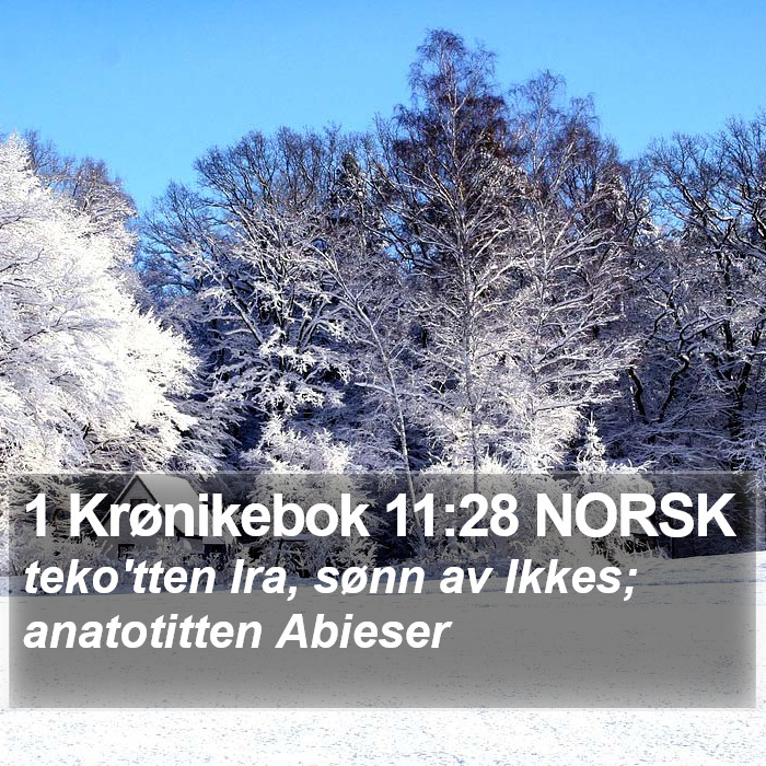 1 Krønikebok 11:28 NORSK Bible Study