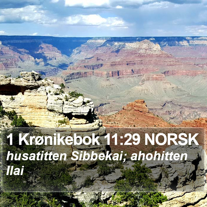 1 Krønikebok 11:29 NORSK Bible Study