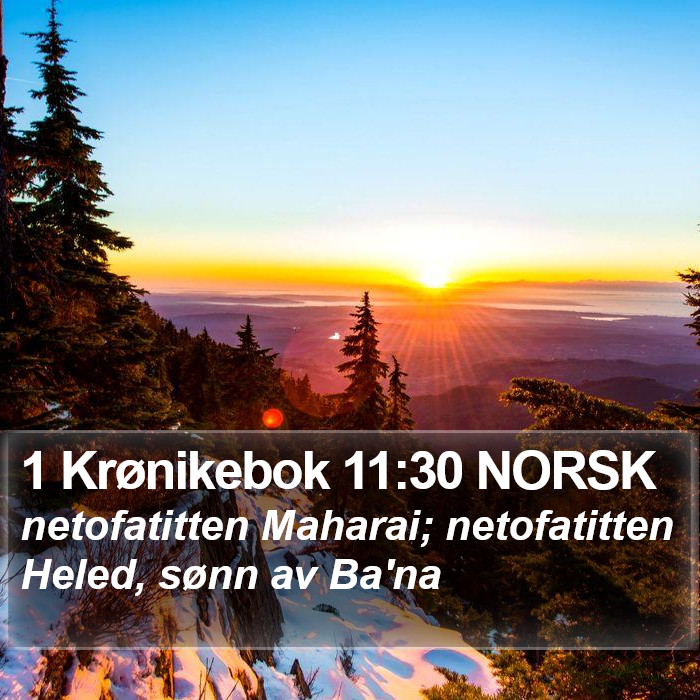 1 Krønikebok 11:30 NORSK Bible Study