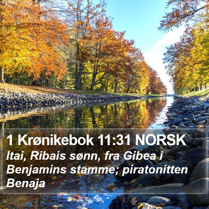 1 Krønikebok 11:31 NORSK Bible Study