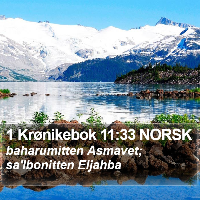 1 Krønikebok 11:33 NORSK Bible Study