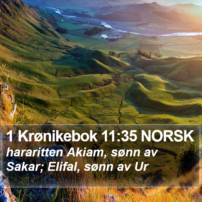 1 Krønikebok 11:35 NORSK Bible Study