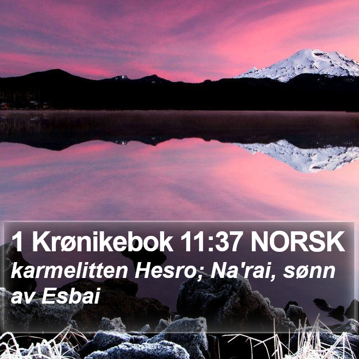 1 Krønikebok 11:37 NORSK Bible Study